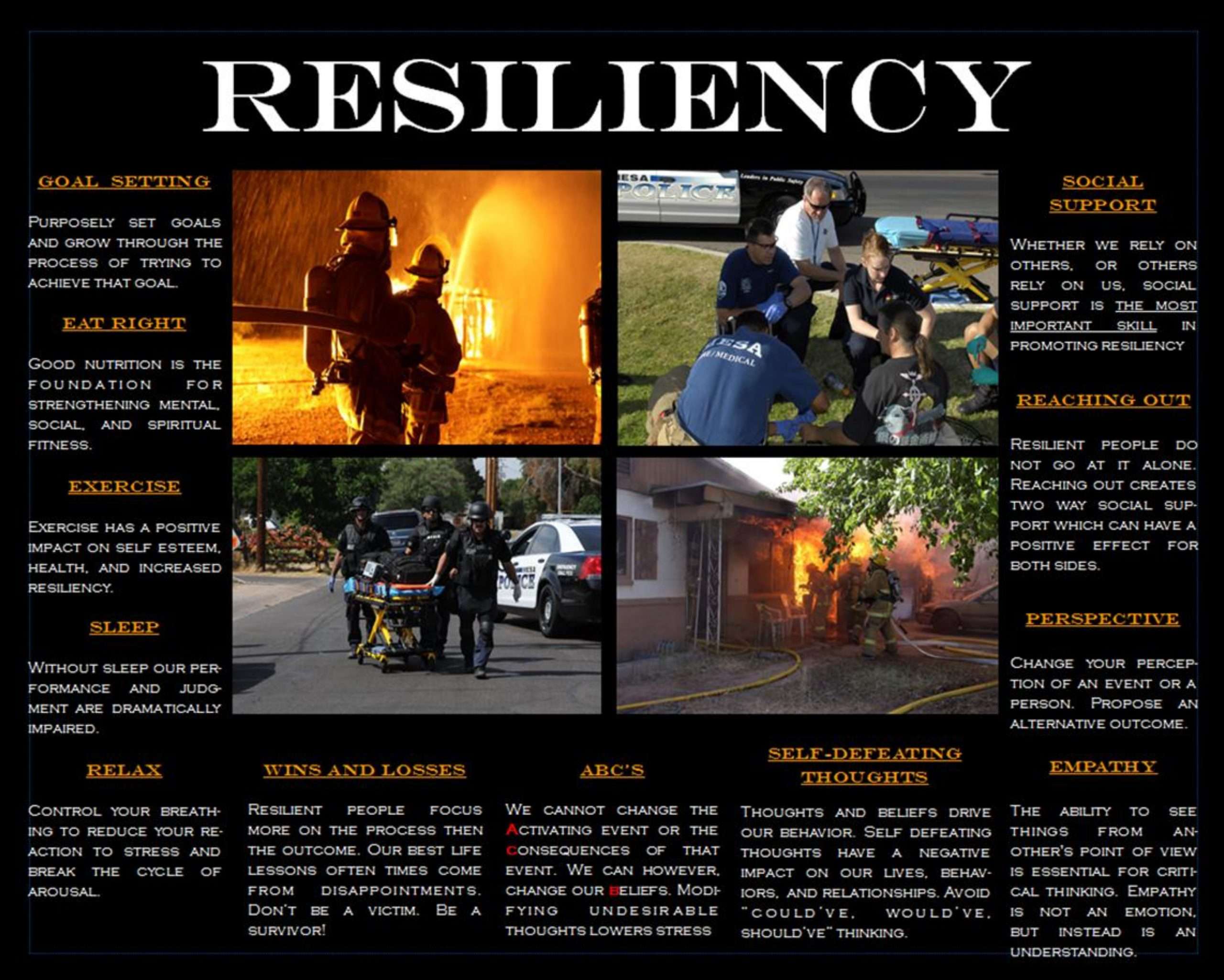 Resiliency Poster